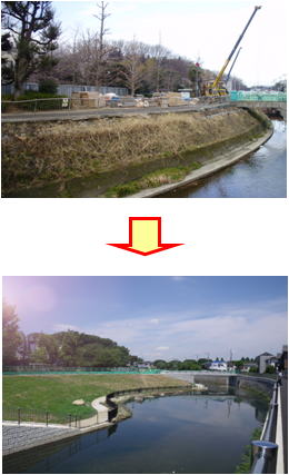 善福寺川：武蔵野橋下流の施工前施行後の写真