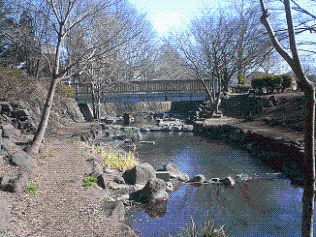 ゆうやけばしの風景の写真