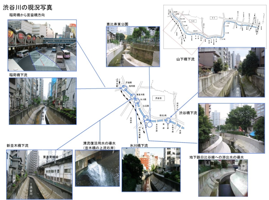 渋谷川全体状況