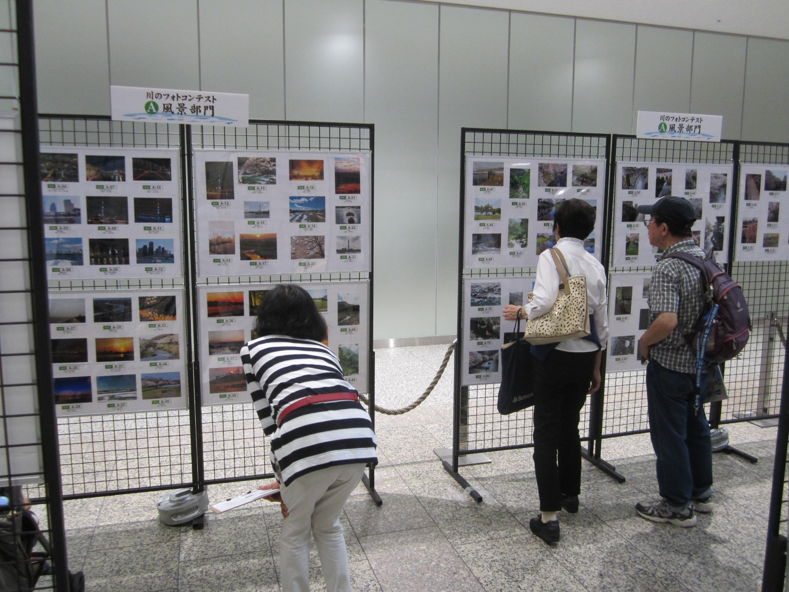 川のフォトコンテスト写真
