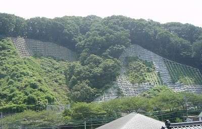 初沢（2）急傾斜地の写真