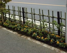 こんな活動をしています。　５月の活動後の植樹帯の写真