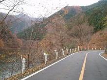 道路・橋梁の維持補修　一般国道１３９号　奥多摩町川野地内の写真