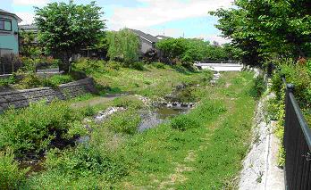 野川鞍尾根橋付近　小金井市貫井南町四丁目地内の写真