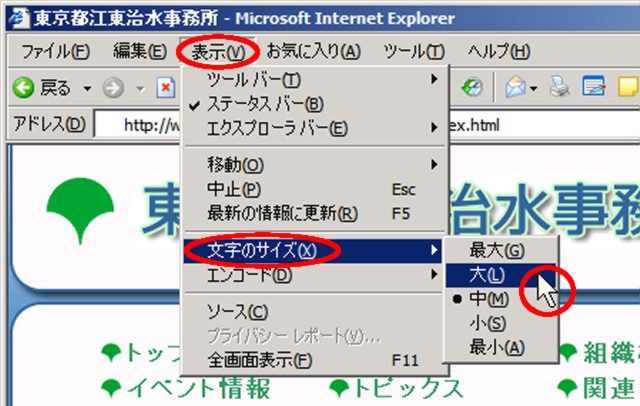 Internet Explorerの表示設定例