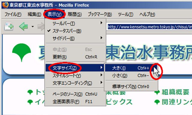 Firefoxの表示設定例