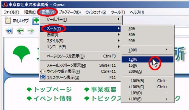 Operaの表示設定例