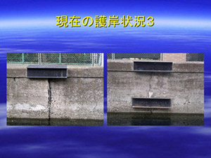 現在の護岸状況の写真2