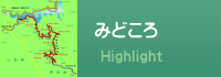 みどころ
