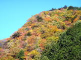 紅葉する山々