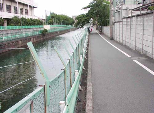 川づくりの視点イメージ写真