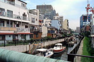 整備後の護岸の様子