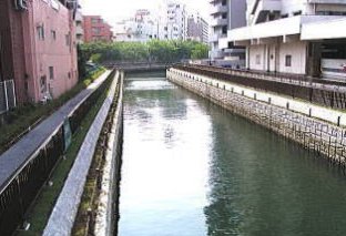 整備後の河川の様子