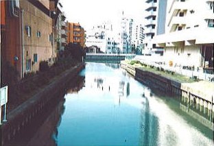 整備前の河川の様子