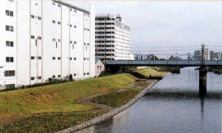 旧中川の整備後の写真