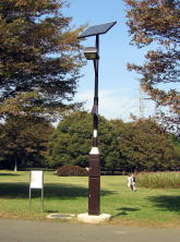 小金井公園のソーラー式照明