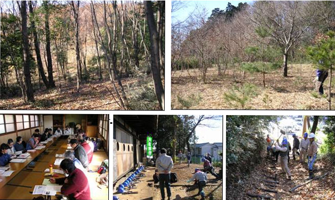 観音寺森緑地の写真