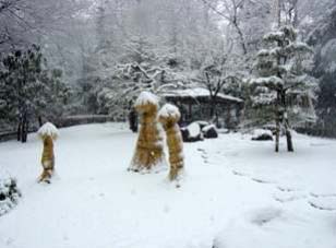 雪景色の写真