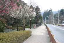 橋台敷の写真