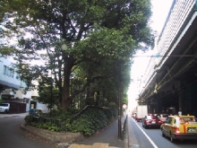 環境施設帯の写真