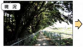 久我山区民農園付近（現況）