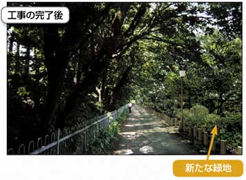 久我山区民農園付近（工事の完了後）