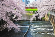 画像（４月）