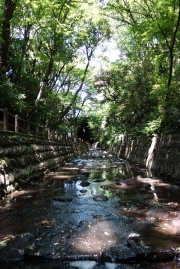 画像（６月）