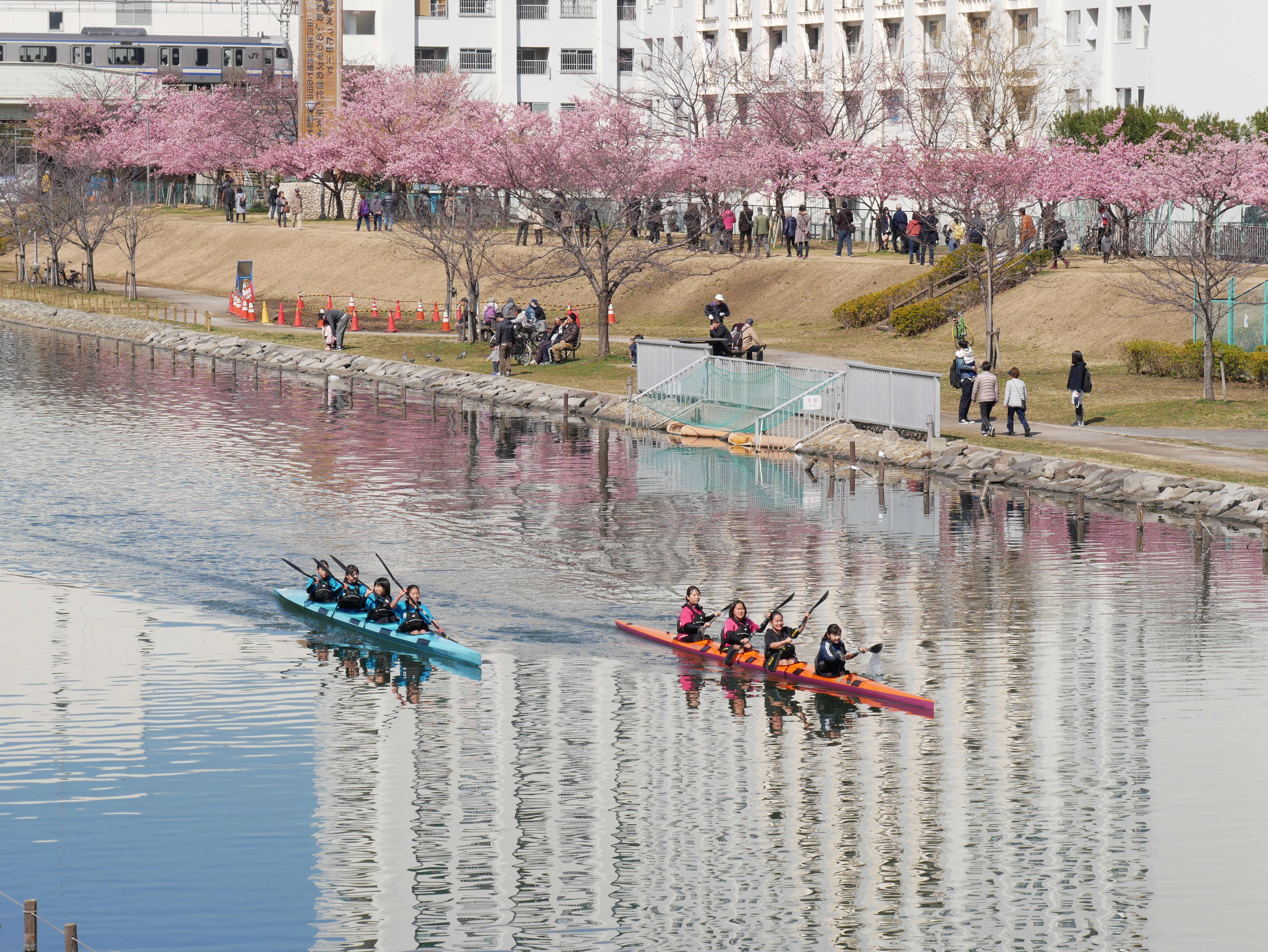 ふれあい部門河川部長賞「のどかな春」の写真