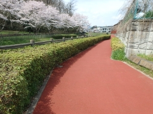 湯殿川の写真