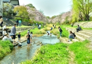 画像（３月）