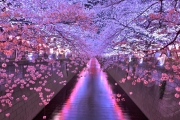 画像（４月）