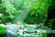 画像（8月）