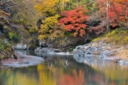 画像（11月）