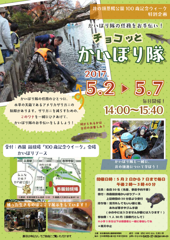 ちょこっとかいぼり隊ポスター