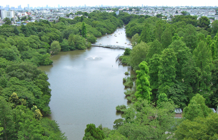 井の頭恩賜公園の画像