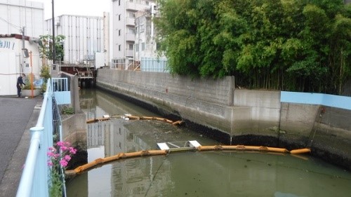 立会川の写真(河口付近)