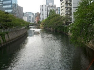目黒川の写真(居木橋上流、高潮防御施設整備区間)