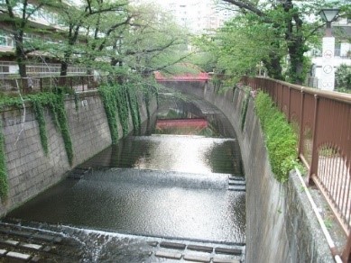 目黒川の写真(南部橋上流、中小河川整備区間)