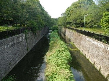 仙川の写真(祖師谷公園内)