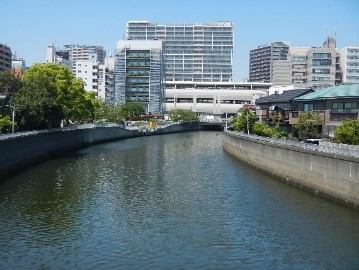 呑川の写真(天神橋上流、高潮防御施設整備区間)