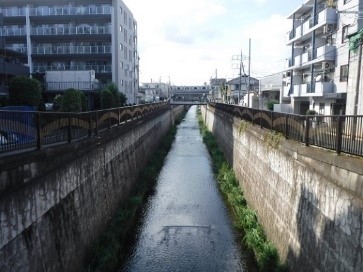 呑川の写真(本村橋上流、中小河川整備区間)