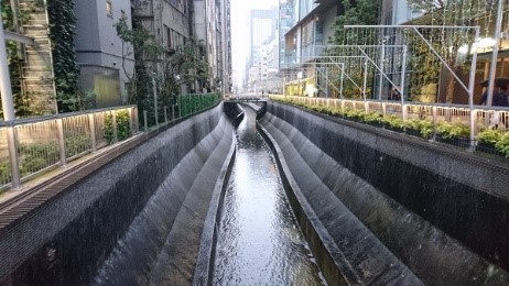 渋谷川(古川)の写真(稲荷橋下流)