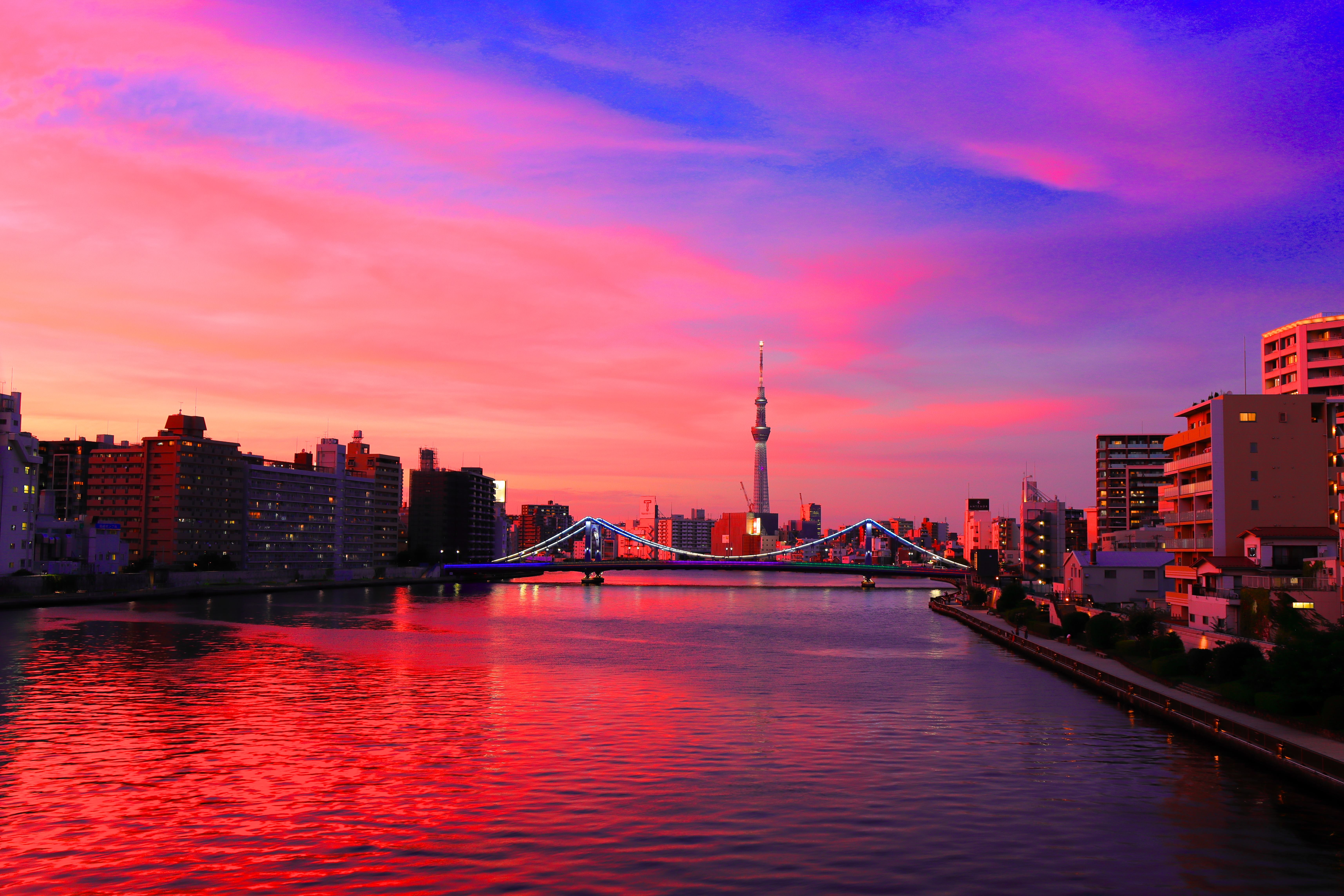 特別賞「夕照の隅田川」の写真