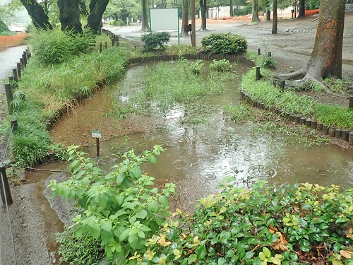 泥水が溜まった様子