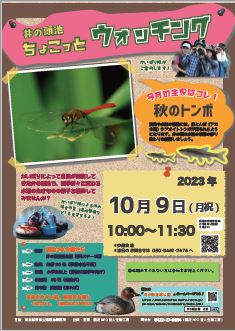  別ウィンドウで表示します
