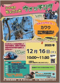  別ウィンドウで表示します