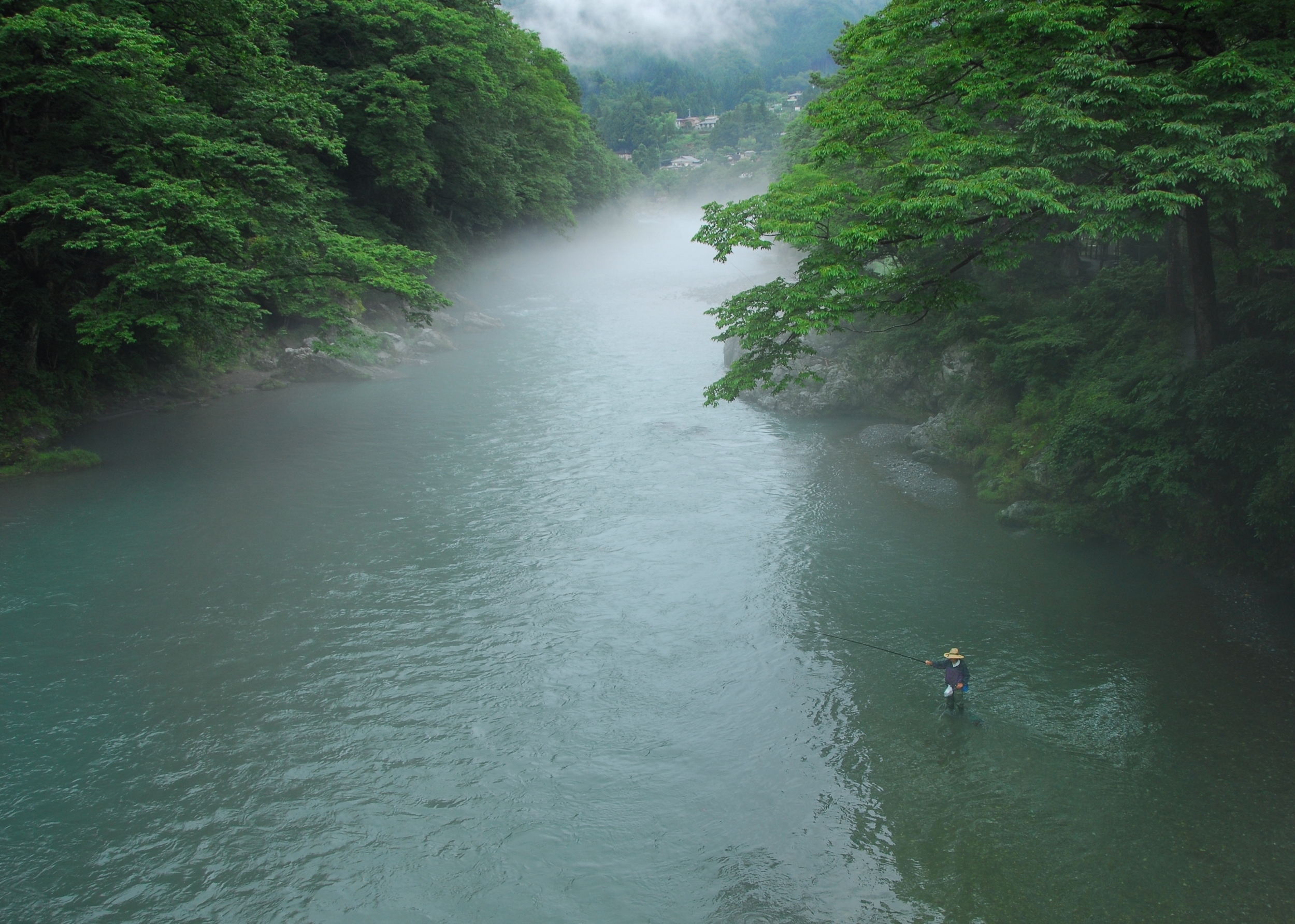 画像（6月）