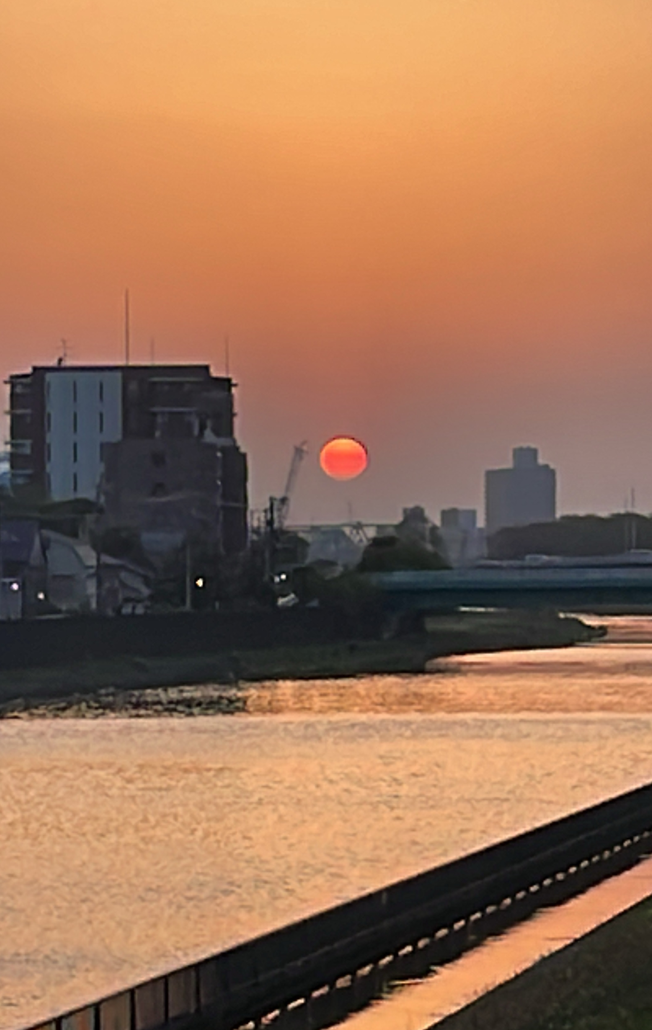 画像（10月）