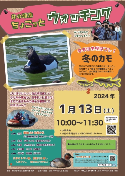  別ウィンドウで表示します